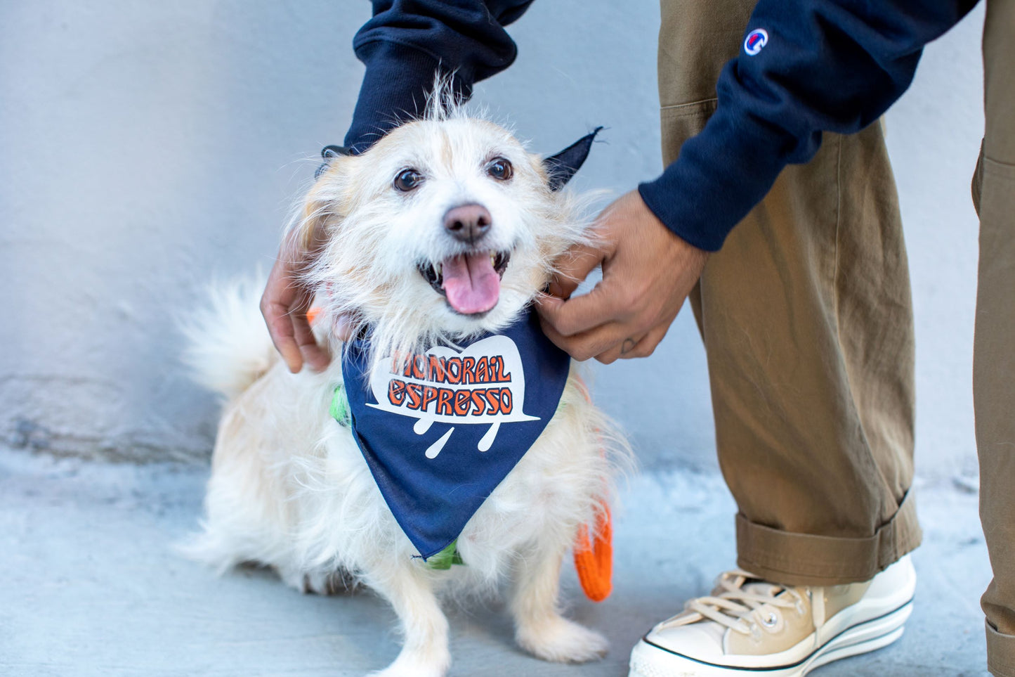 Monorail X Teresa Grasseschi Doggo Bandana