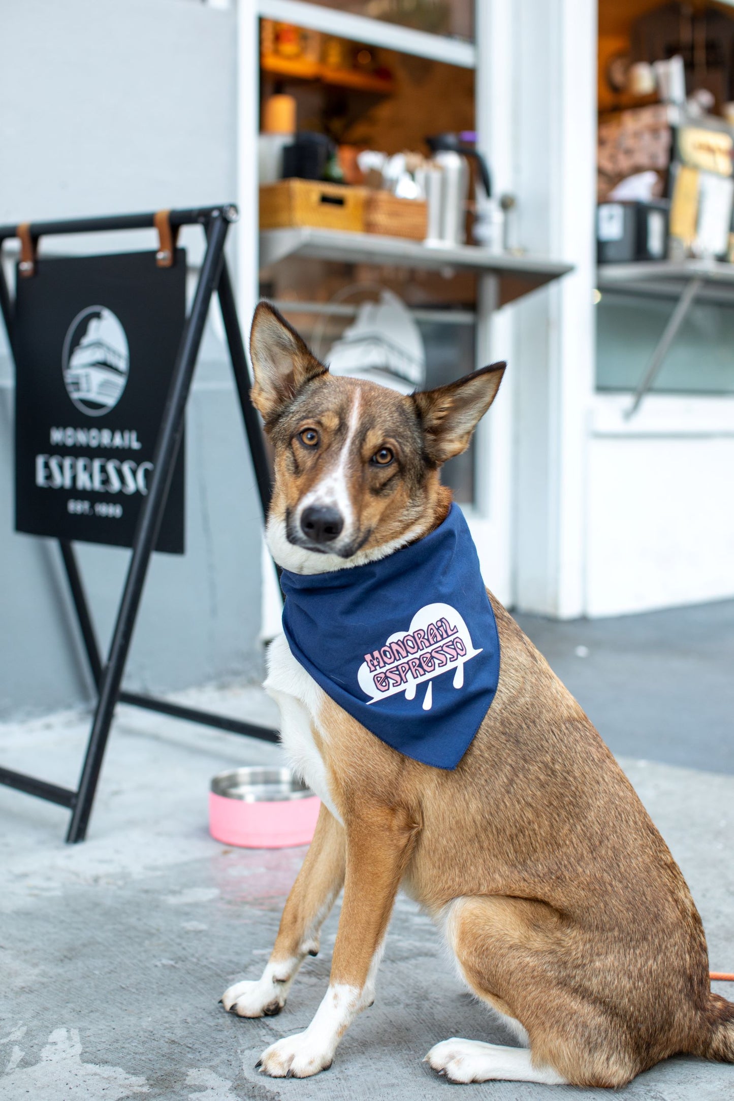 Monorail X Teresa Grasseschi Doggo Bandana