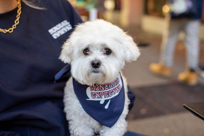 Monorail X Teresa Grasseschi Doggo Bandana